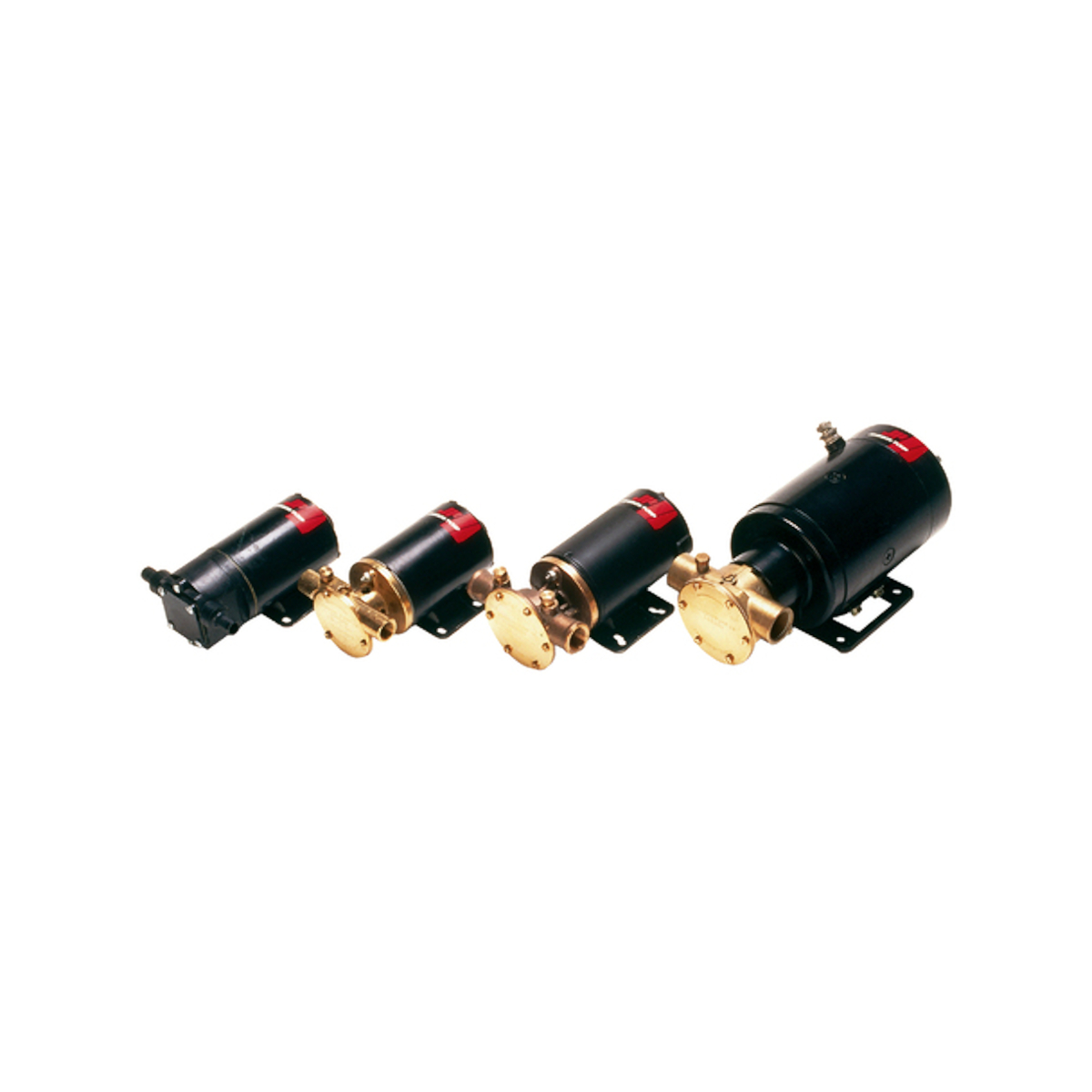 Johnson F4B-19 Impellerpumpe 24V